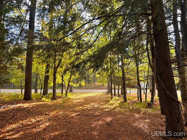 0.31 Acres of Residential Land for Sale in Gulliver, Michigan