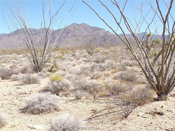 1.2 Acres of Residential Land for Sale in Yucca, Arizona