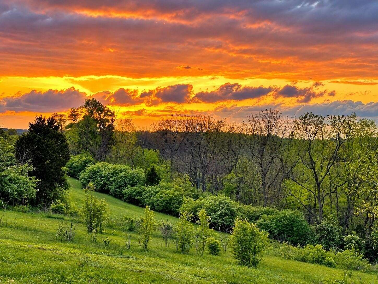 1 Acre of Residential Land for Sale in Richmond, Kentucky
