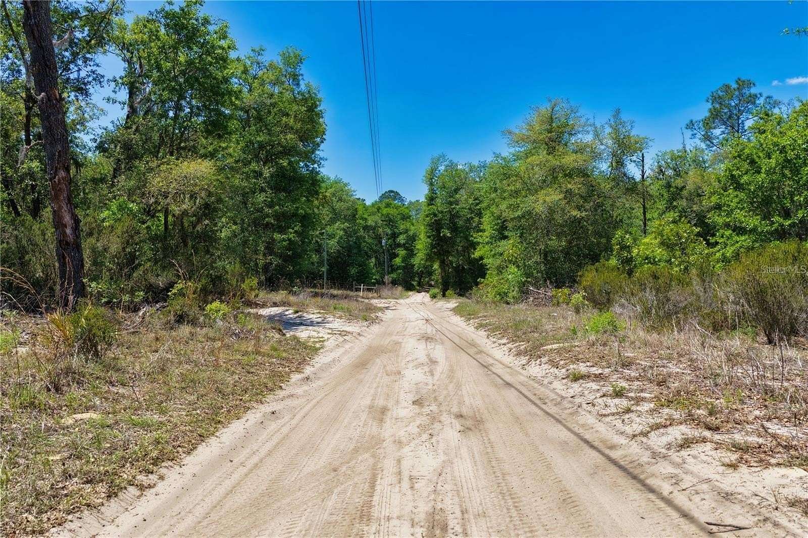1.25 Acres of Residential Land for Sale in Bronson, Florida