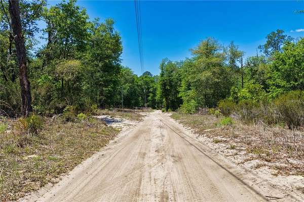 1.25 Acres of Residential Land for Sale in Bronson, Florida