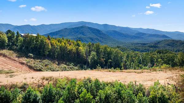 36.5 Acres of Recreational & Residential Land for Sale in Cosby, Tennessee