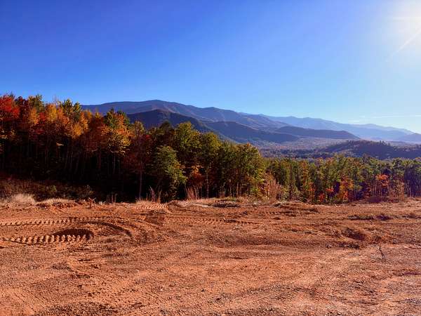 36.5 Acres of Recreational & Residential Land for Sale in Cosby, Tennessee