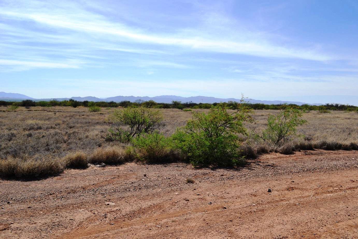 2.76 Acres of Residential Land for Sale in Douglas, Arizona