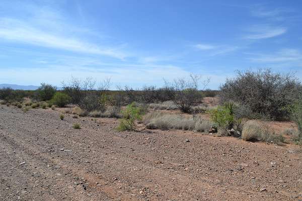 0.34 Acres of Residential Land for Sale in Douglas, Arizona