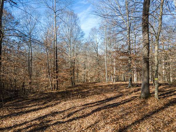 11.4 Acres of Recreational & Residential Land for Sale in Ashland City, Tennessee