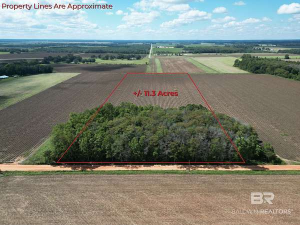 11.3 Acres of Agricultural Land for Sale in Atmore, Alabama