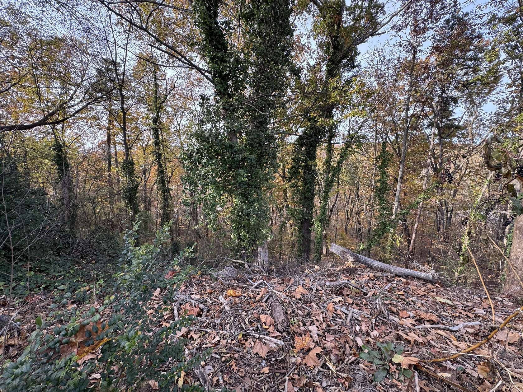 0.62 Acres of Residential Land for Sale in Chattanooga, Tennessee