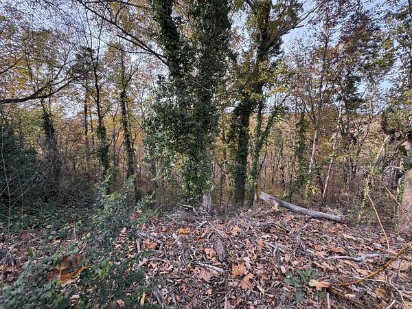 0.62 Acres of Residential Land for Sale in Chattanooga, Tennessee