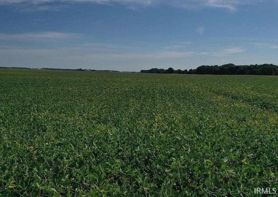 78 Acres of Land for Auction in Geneva, Indiana