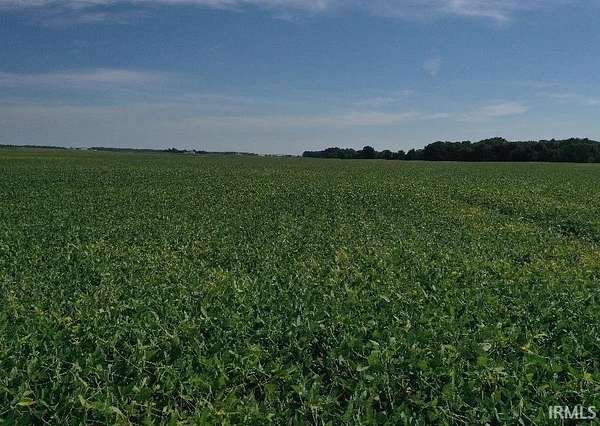 78 Acres of Land for Auction in Geneva, Indiana