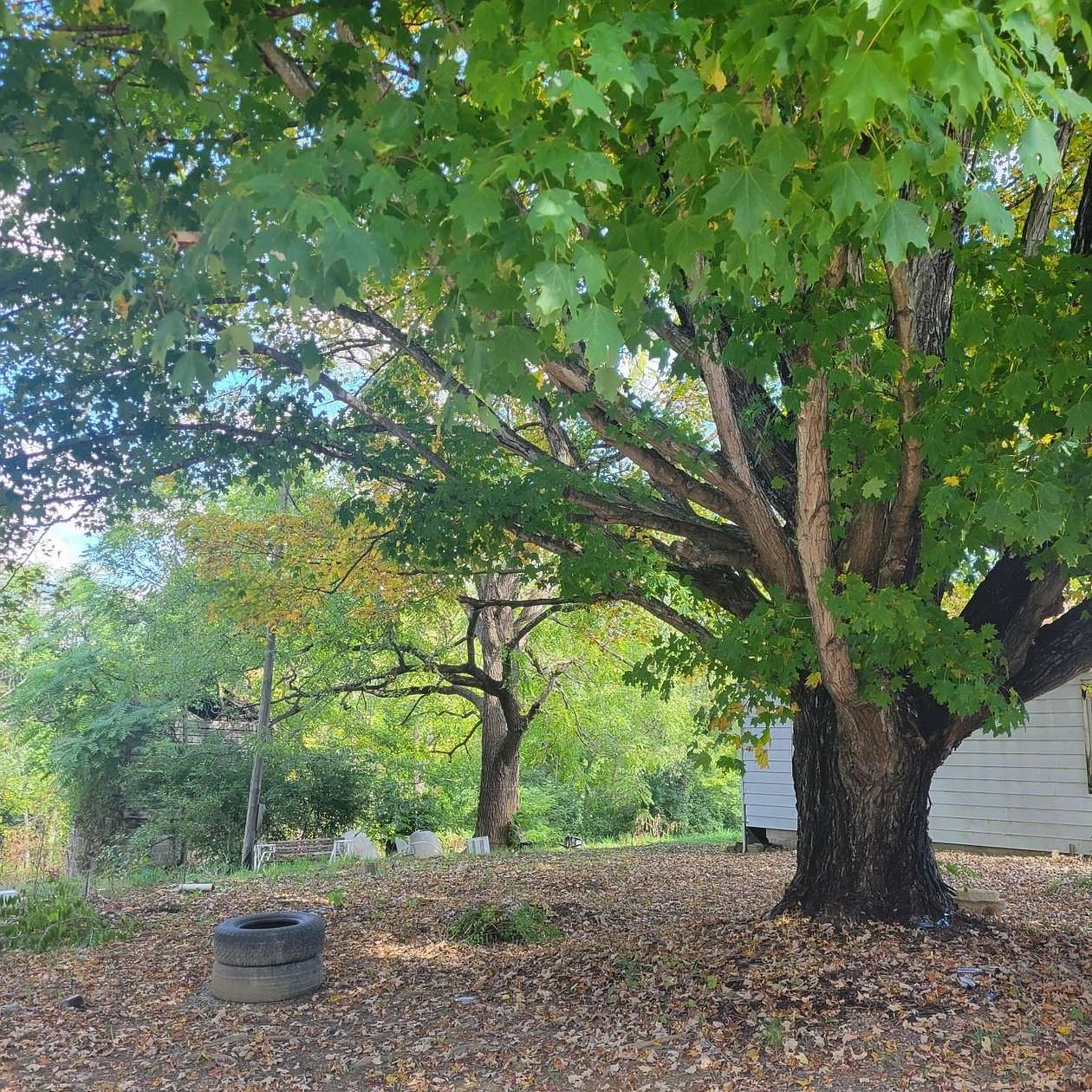 0.46 Acres of Land for Sale in Dublin, Virginia