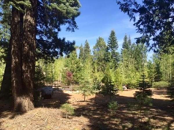 0.2 Acres of Residential Land for Sale in Lake Almanor Peninsula, California