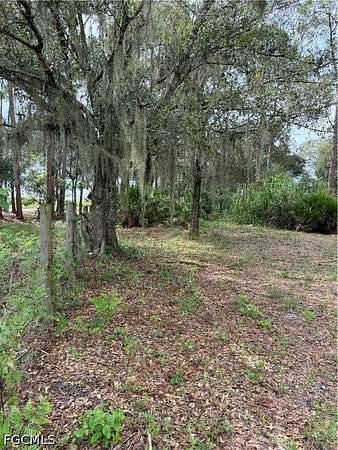 1.13 Acres of Residential Land for Sale in Clewiston, Florida