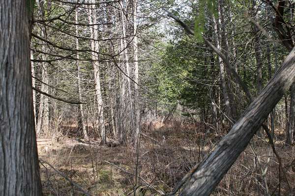 30 Acres of Recreational & Residential Land for Sale in Ripley, Maine