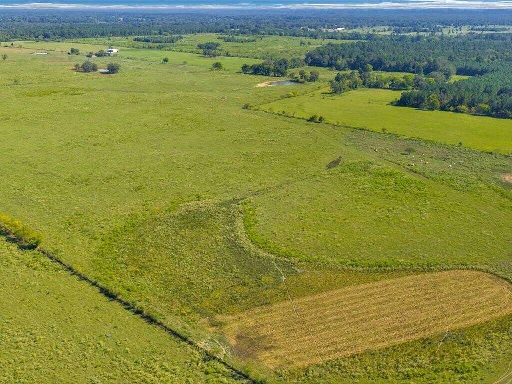 304 Acres of Land for Sale in Nacogdoches, Texas