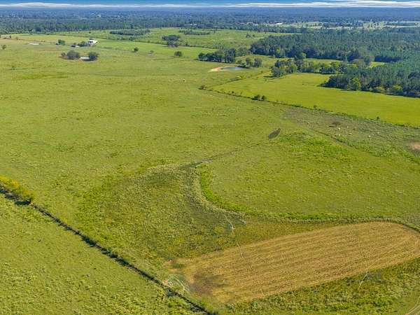 304 Acres of Land for Sale in Nacogdoches, Texas