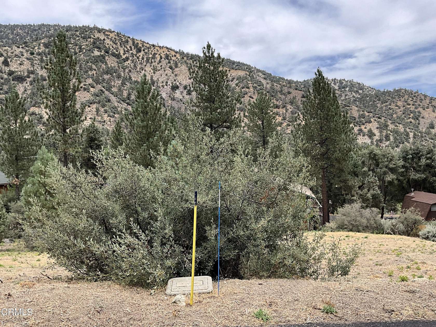 0.22 Acres of Land for Sale in Pine Mountain Club, California