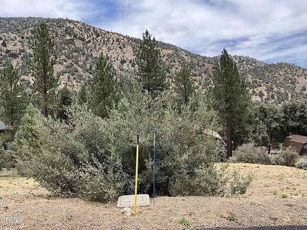0.22 Acres of Land for Sale in Pine Mountain Club, California