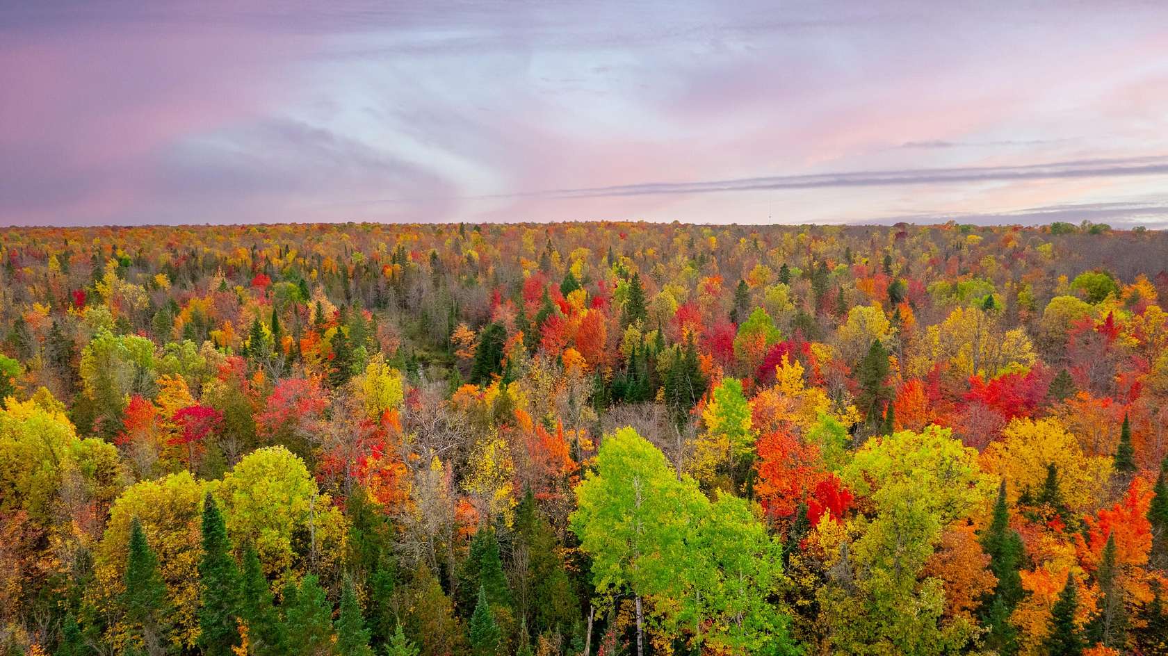 9.78 Acres of Land for Sale in Bergland, Michigan