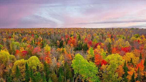 9.78 Acres of Land for Sale in Bergland, Michigan