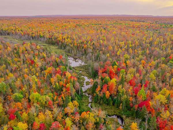 19.3 Acres of Recreational Land for Sale in Bergland, Michigan