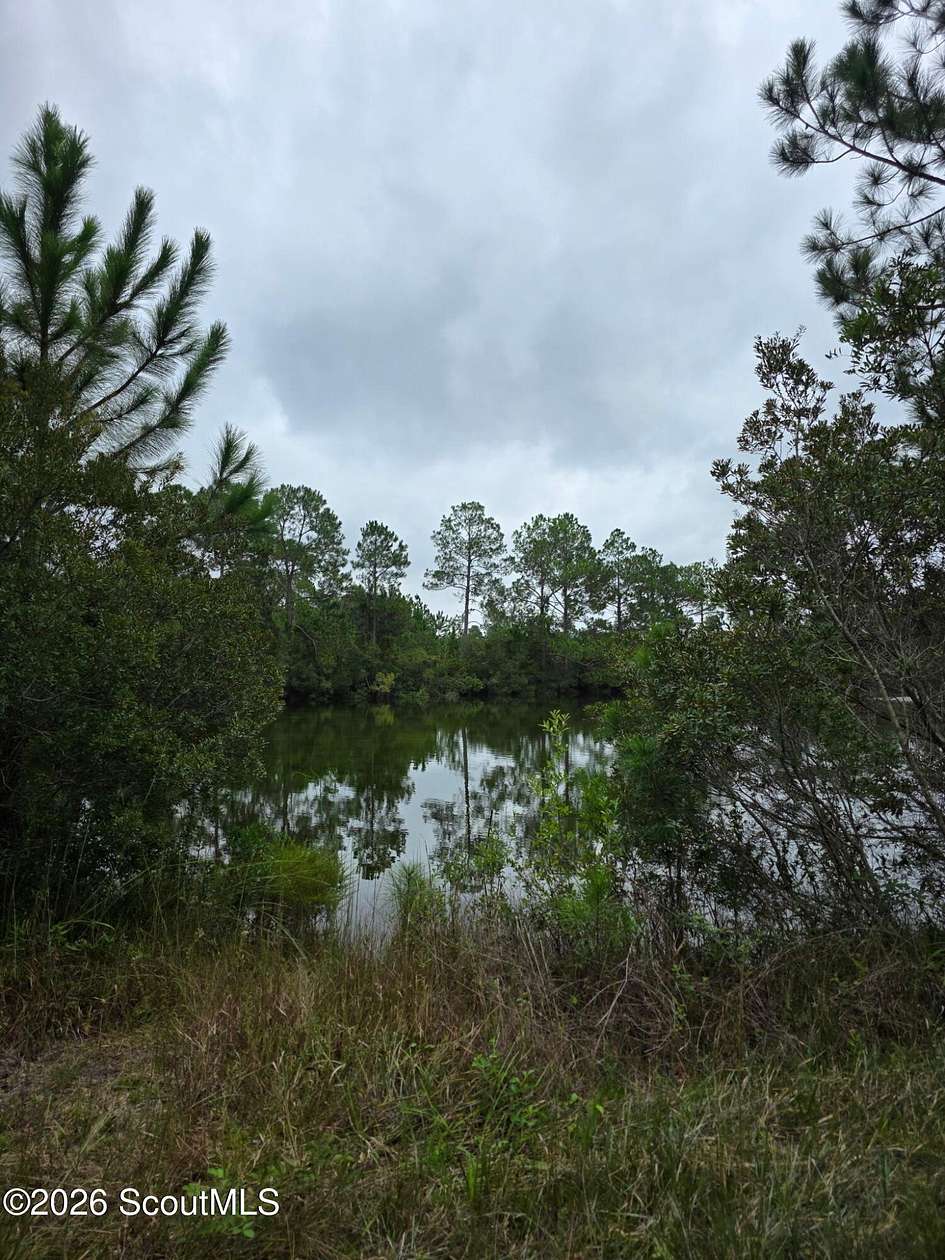 2.36 Acres of Residential Land for Sale in Folkston, Georgia