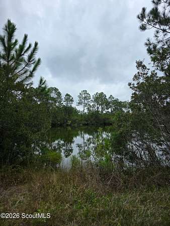 2.36 Acres of Residential Land for Sale in Folkston, Georgia