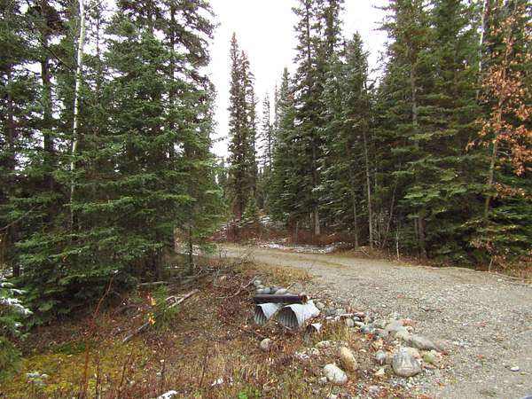 2 Acres of Land for Sale in Delta Junction, Alaska
