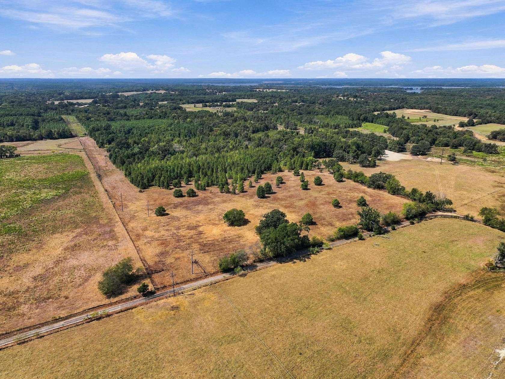 40.5 Acres of Land for Sale in Pittsburg, Texas