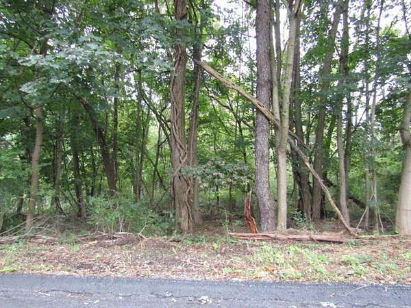 0.31 Acres of Residential Land for Sale in Aliquippa, Pennsylvania