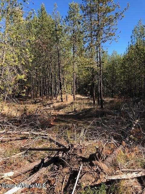 5 Acres of Residential Land for Sale in Blanchard, Idaho