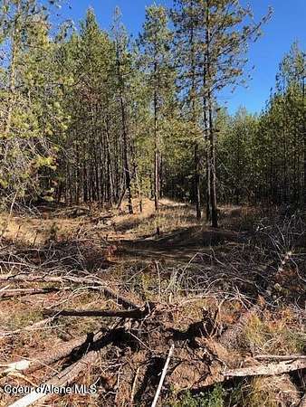 5 Acres of Residential Land for Sale in Blanchard, Idaho