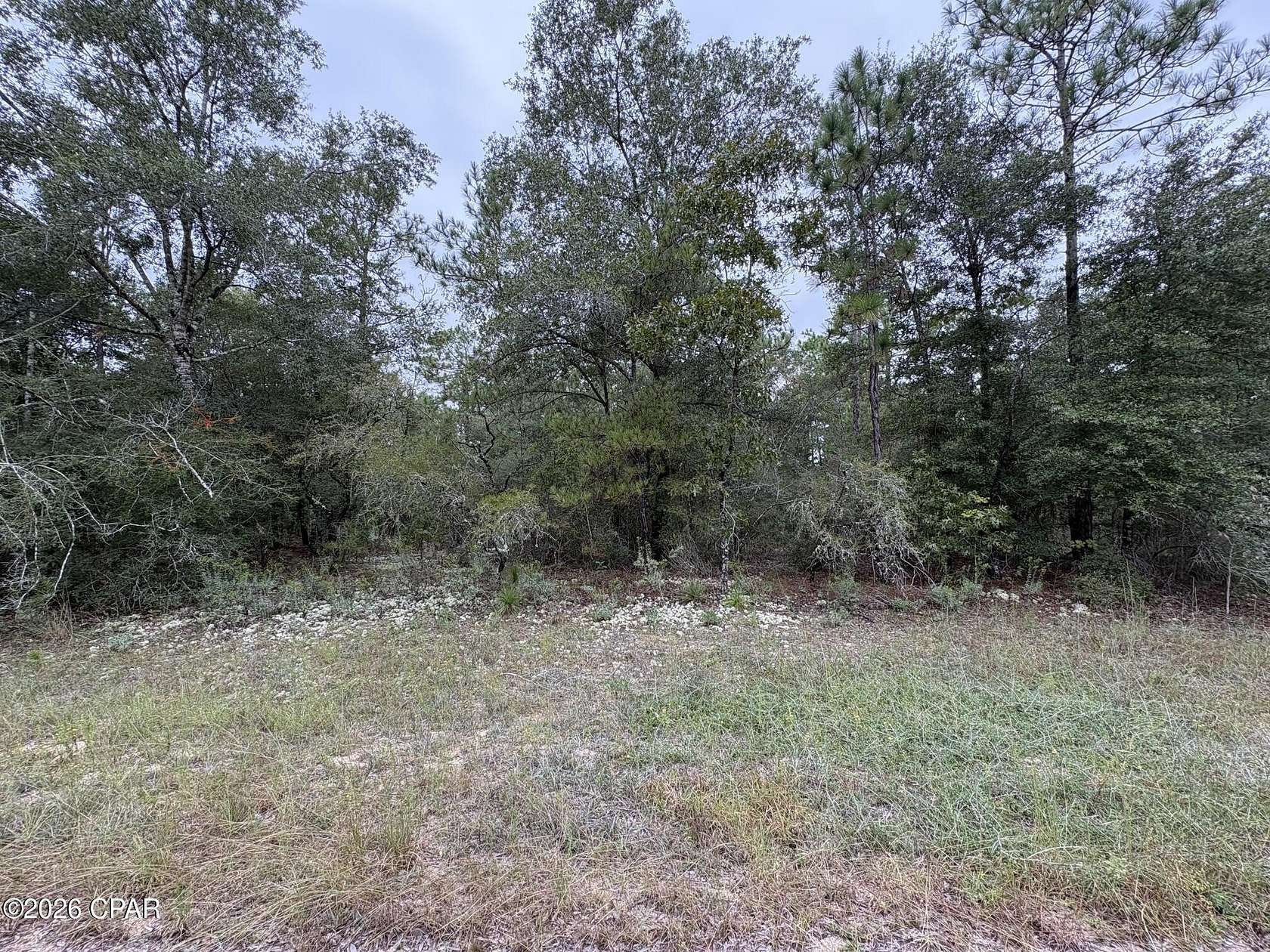 0.55 Acres of Residential Land for Sale in Chipley, Florida