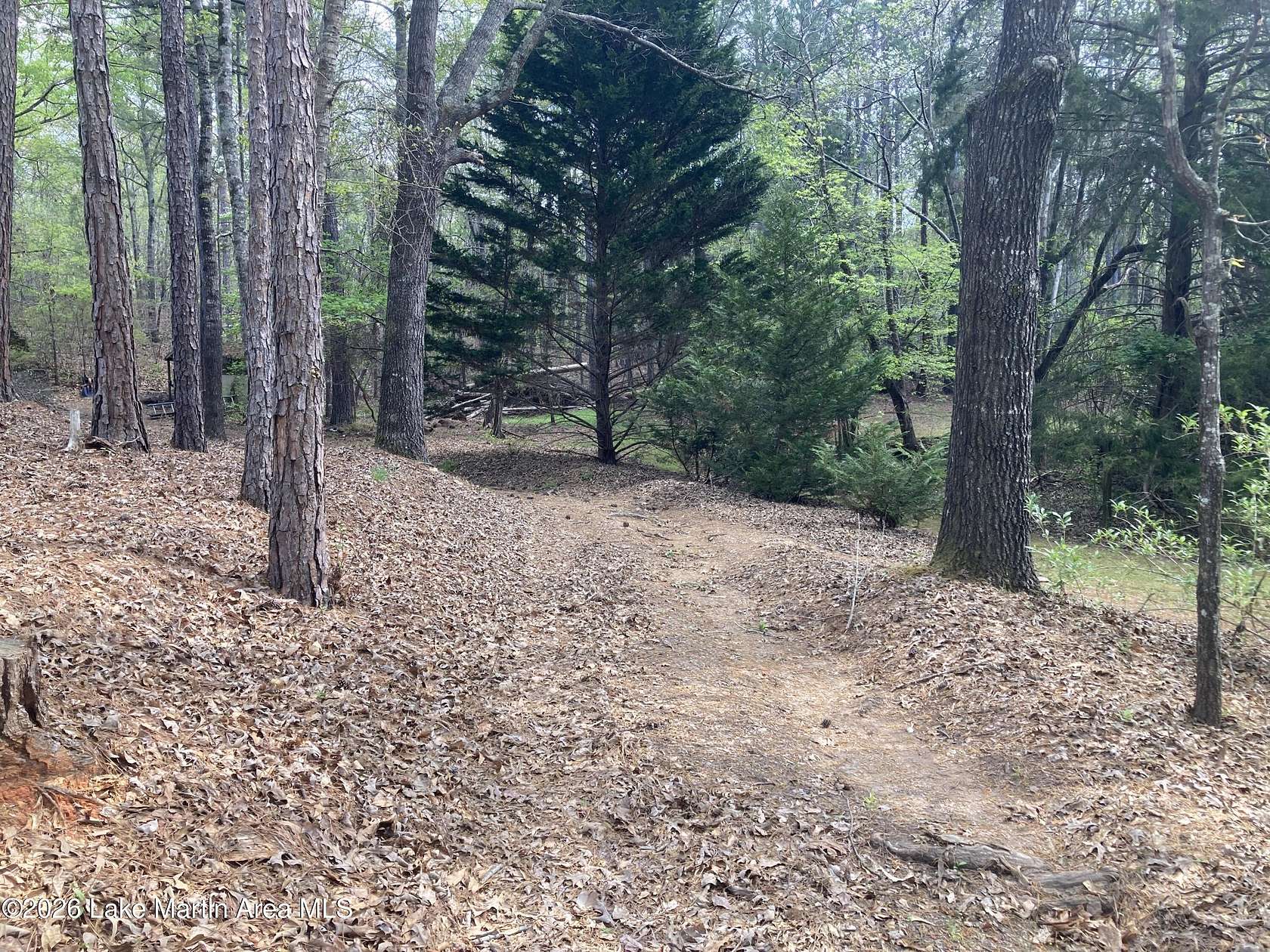 2.25 Acres of Land for Sale in Jacksons' Gap, Alabama