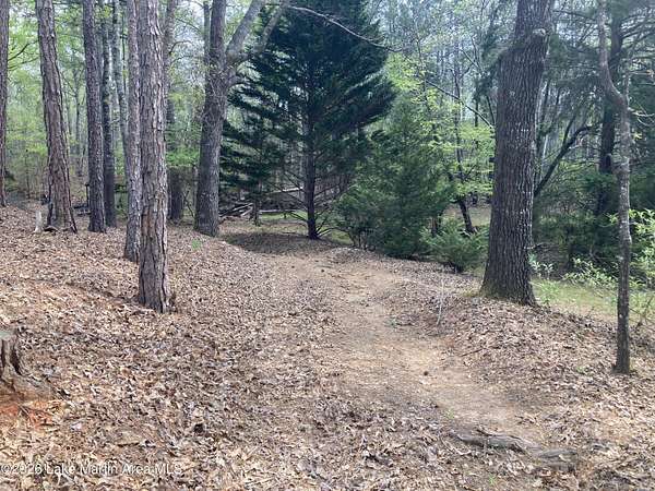 2.25 Acres of Land for Sale in Jacksons' Gap, Alabama