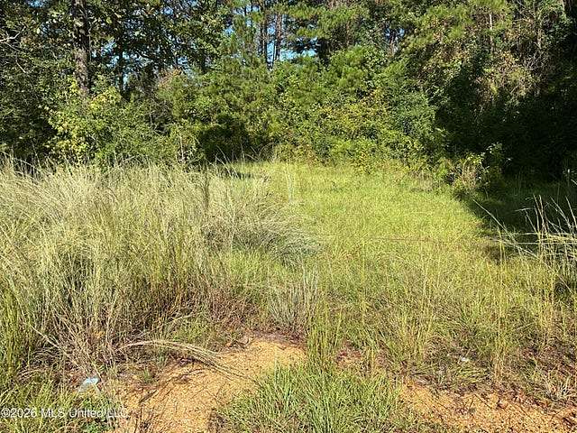 6.66 Acres of Land for Sale in Liberty, Mississippi