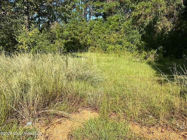 6.66 Acres of Land for Sale in Liberty, Mississippi