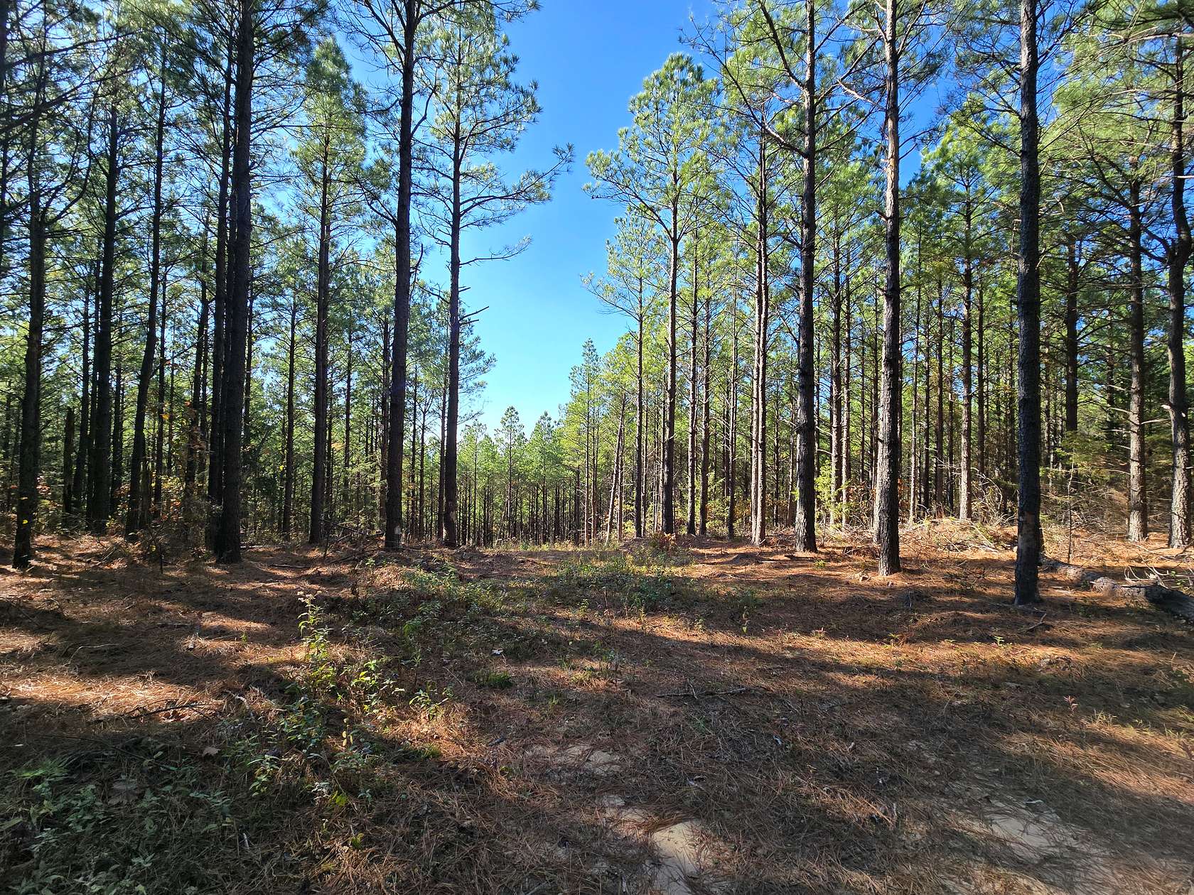 6 Acres of Agricultural Land for Sale in Heavener, Oklahoma