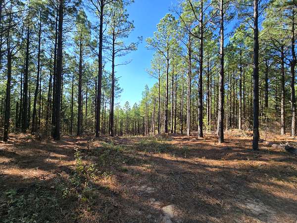 6 Acres of Agricultural Land for Sale in Heavener, Oklahoma
