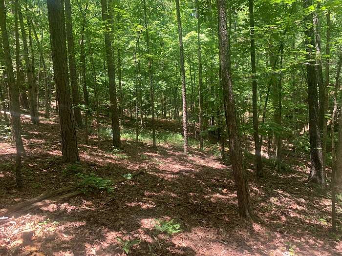3 Acres of Agricultural Land for Sale in Yellville, Arkansas