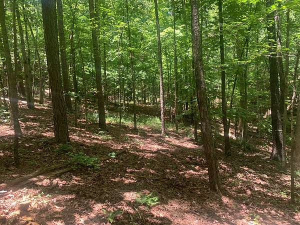 3 Acres of Agricultural Land for Sale in Yellville, Arkansas