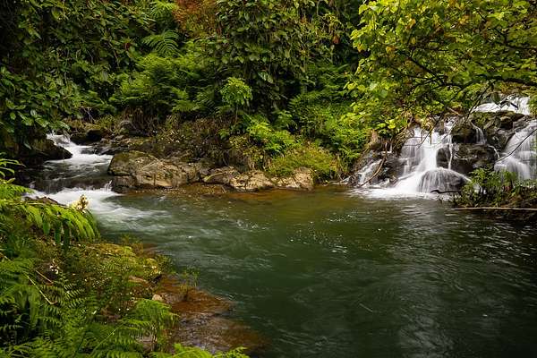 1.76 Acres of Land with Home for Sale in Papaikou, Hawaii