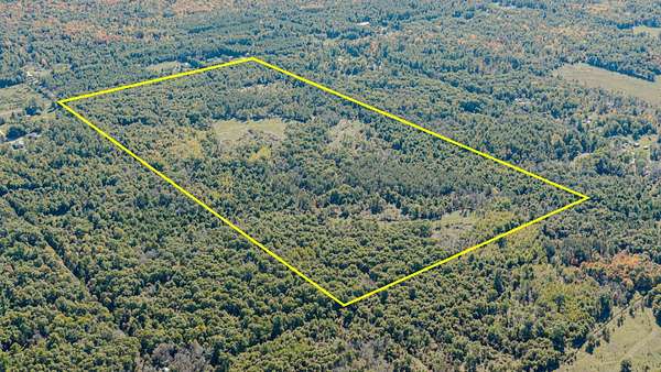 80 Acres of Recreational Land for Sale in Arkdale, Wisconsin