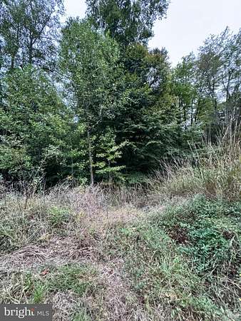 Land for Sale in Montross, Virginia