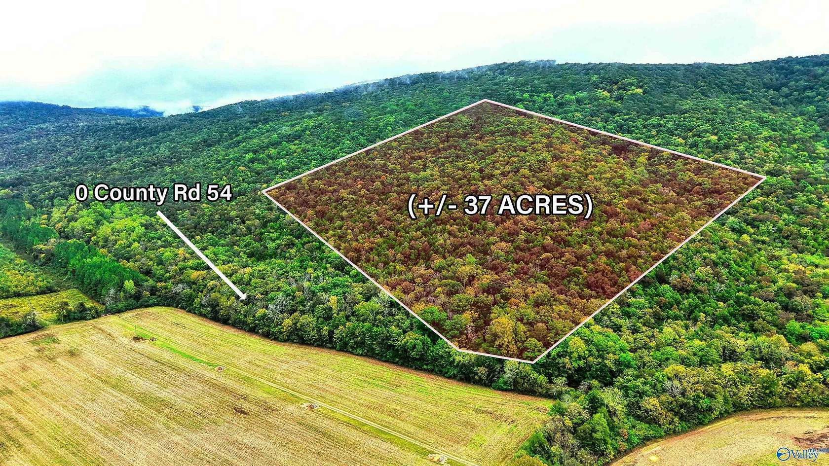 37 Acres of Recreational Land for Sale in Stevenson, Alabama