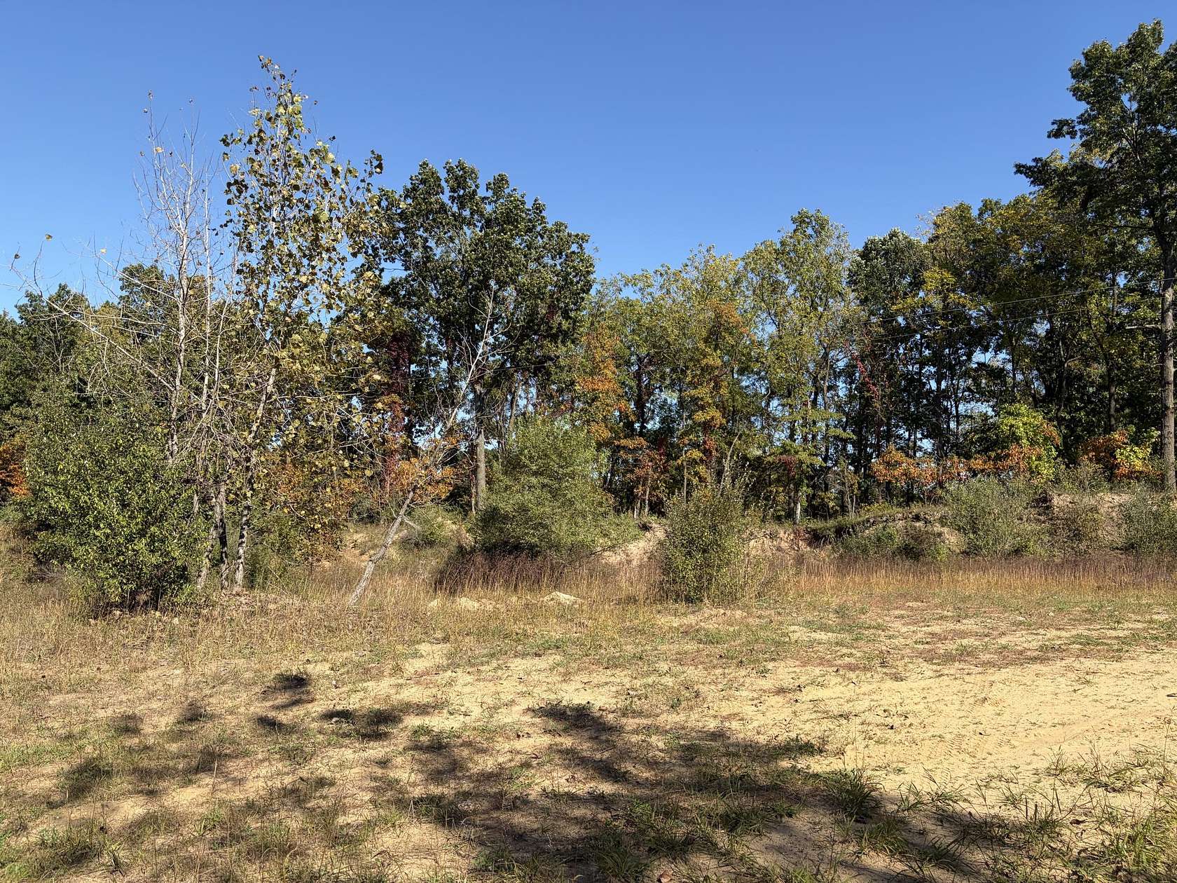 3 Acres of Land for Sale in Gobles, Michigan