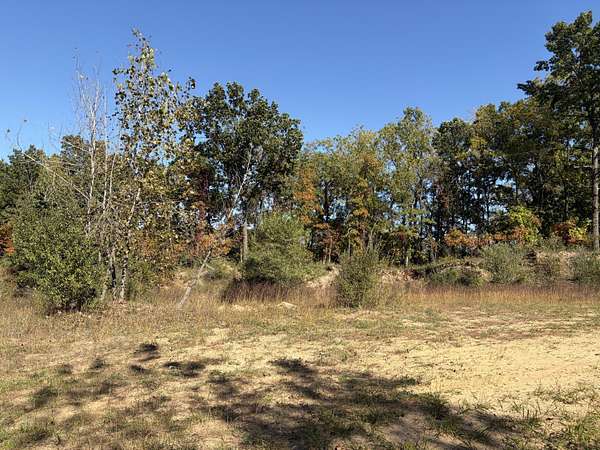 3 Acres of Land for Sale in Gobles, Michigan