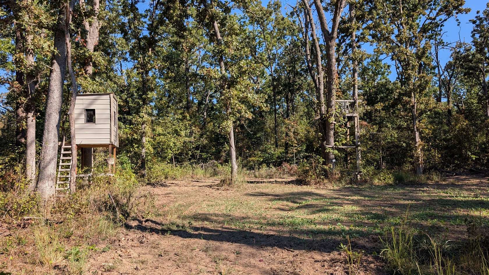 40.5 Acres of Land for Sale in Collins, Missouri