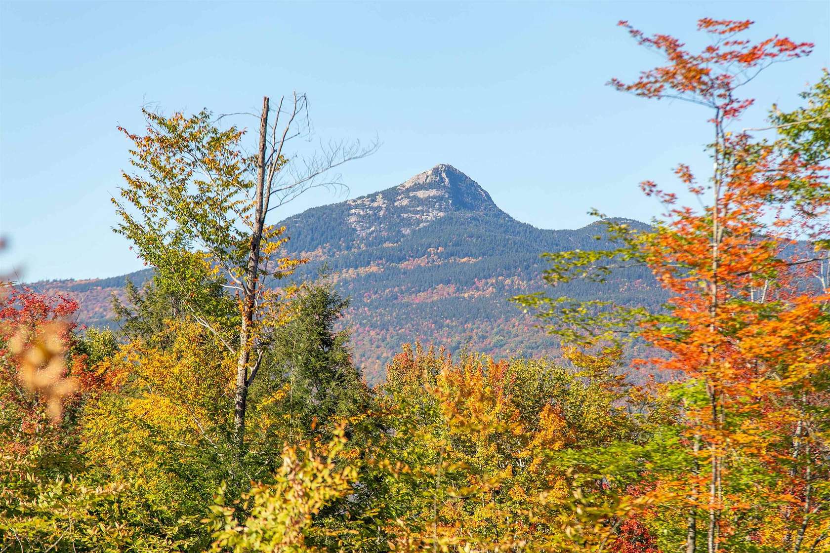 2 Acres of Mixed-Use Land for Sale in Tamworth, New Hampshire